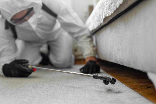 Professional Termite Control technician working in Tipton, MO
