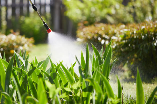 24/7 Emergency Termite Control experts in Tipton, MO